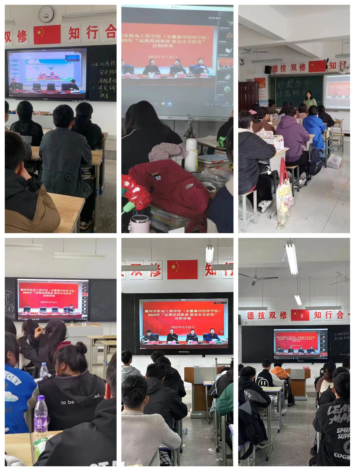 圖片 11