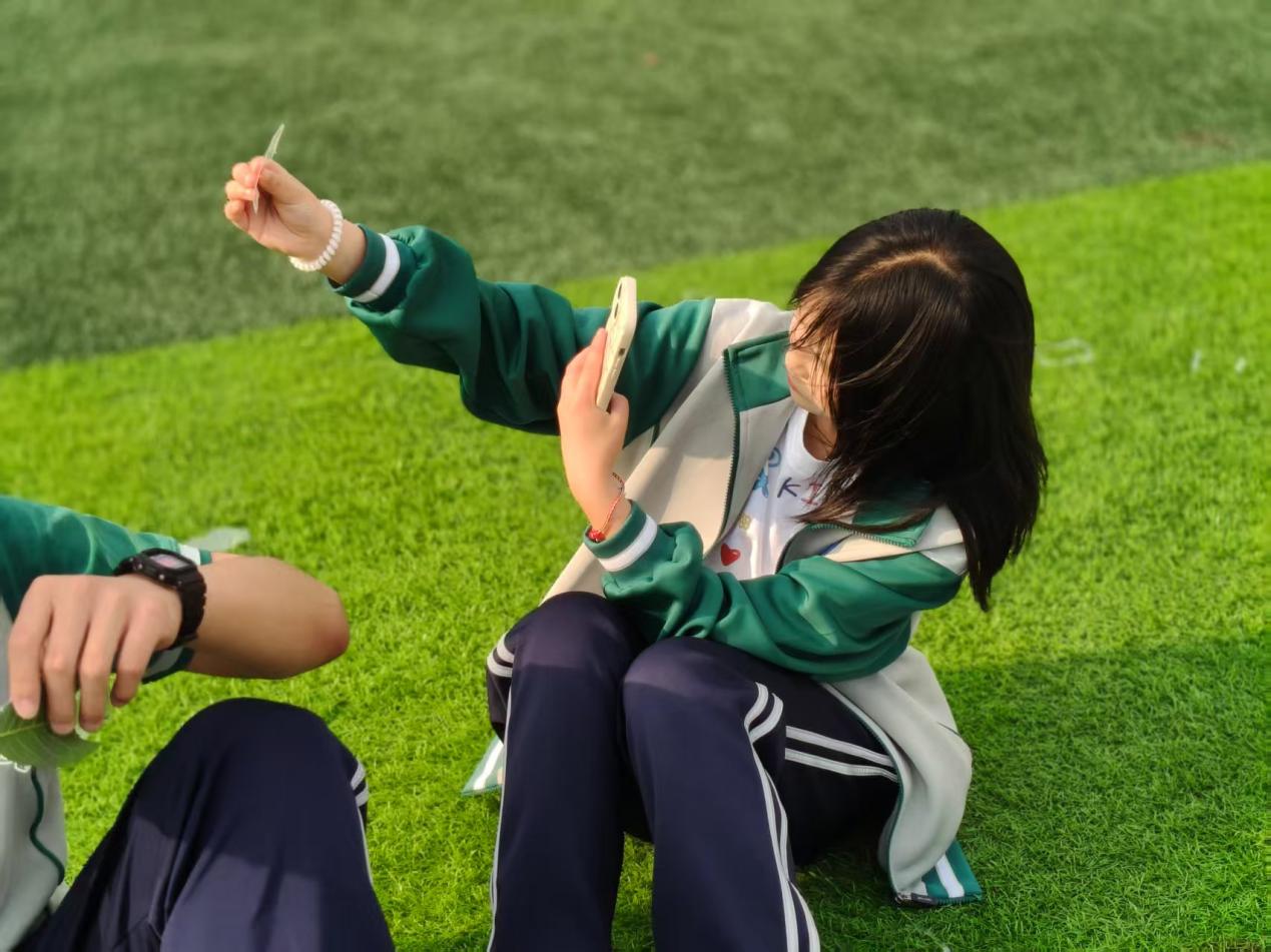 圖片 5