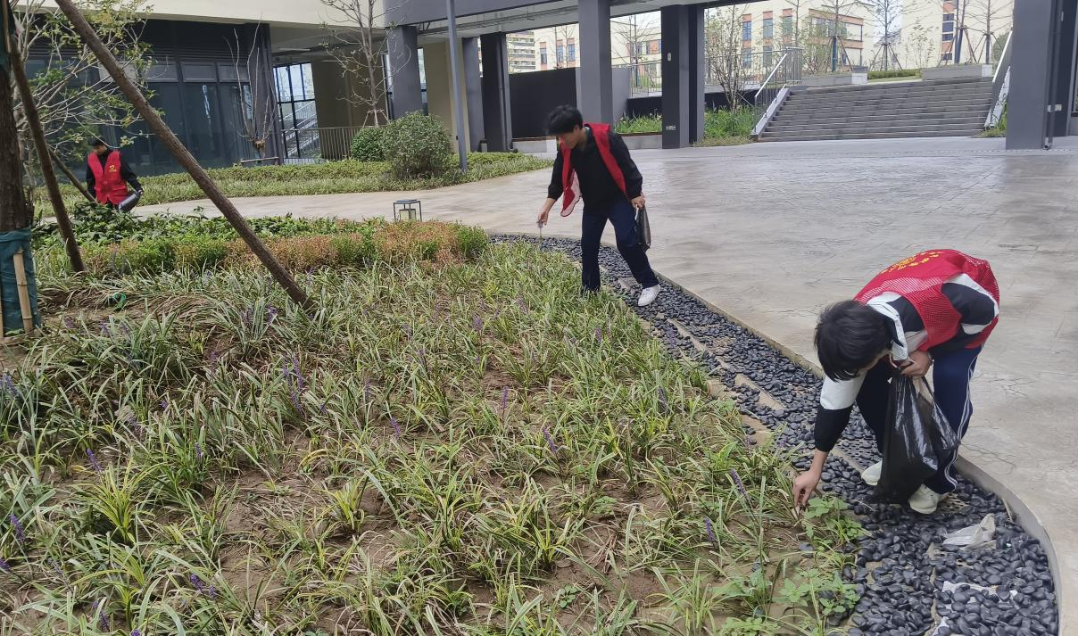 圖片1.png 圖片1.png
