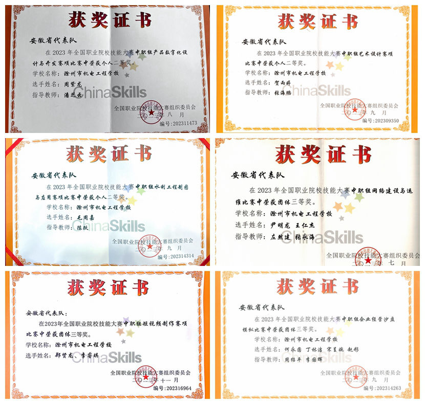 技能大賽獲獎6個拼圖 技能大賽獲獎6個拼圖
